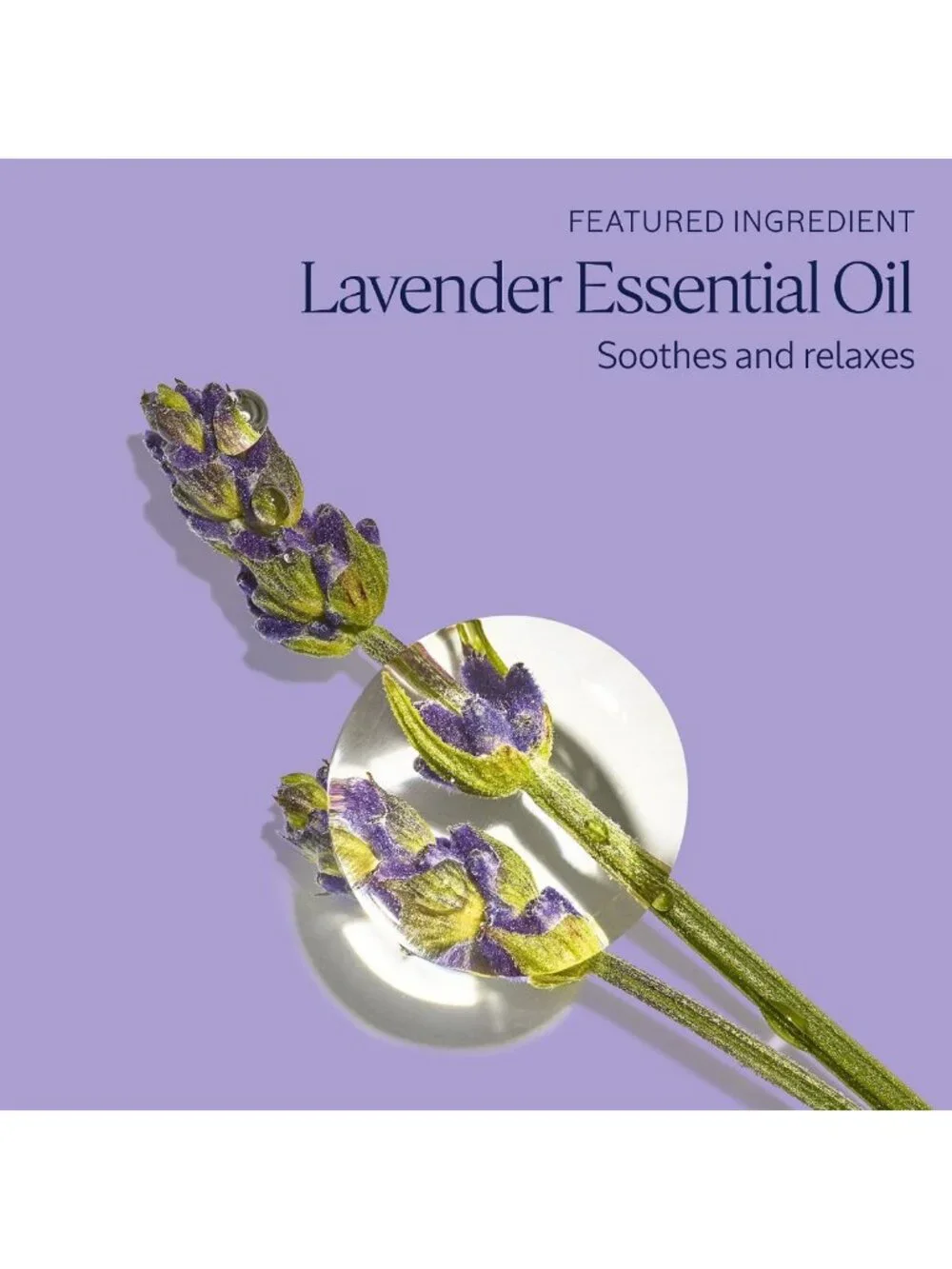 Relaxing Lavender Bubble Bath Refill - Foaming, Essential Oil Infused, 16.9 fl